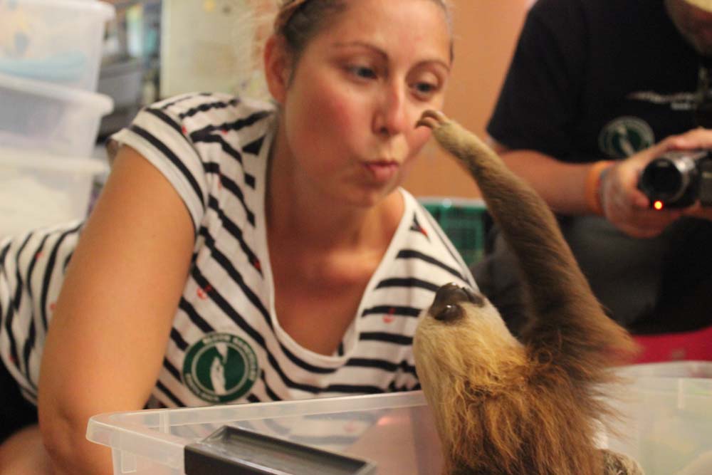 Sloth Sanctuary Costa Rica Imperfekte Reiseblogger www.gindeslebens.com