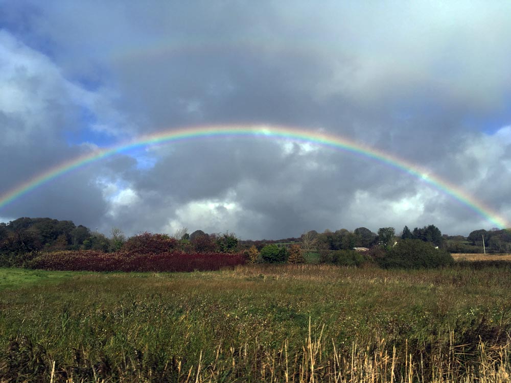 Regenbogen Irland www.gindeslebens.com