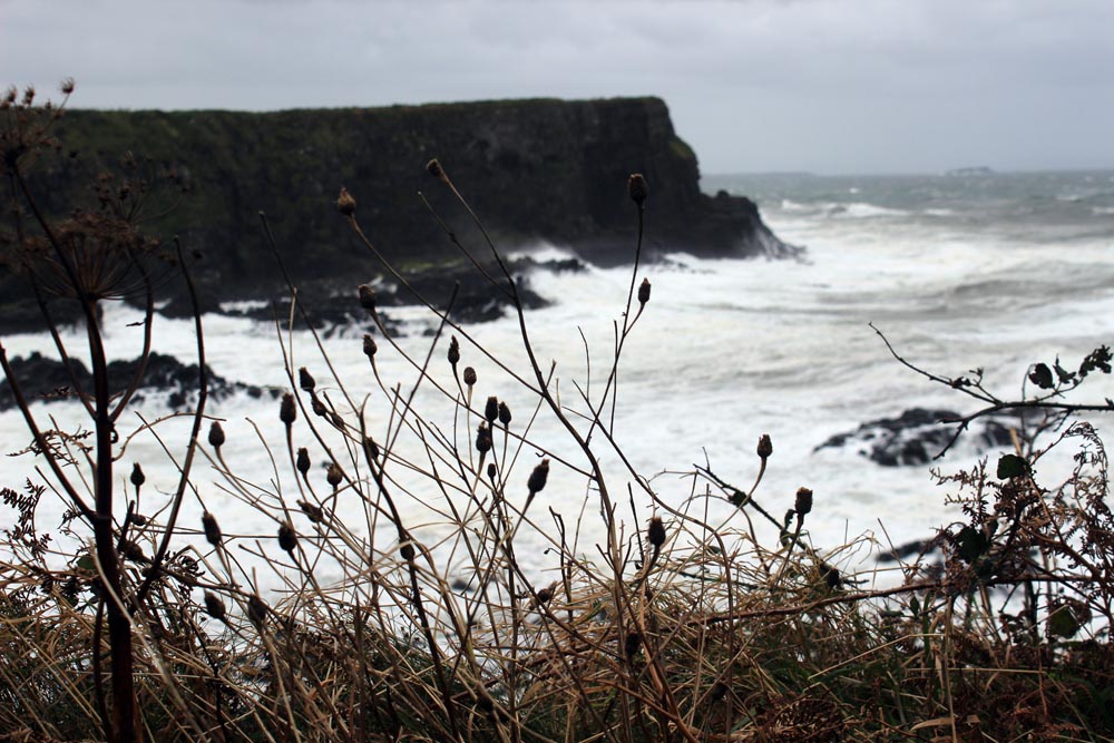 Giant's Causeway Nordirland www.gindeslebens.com