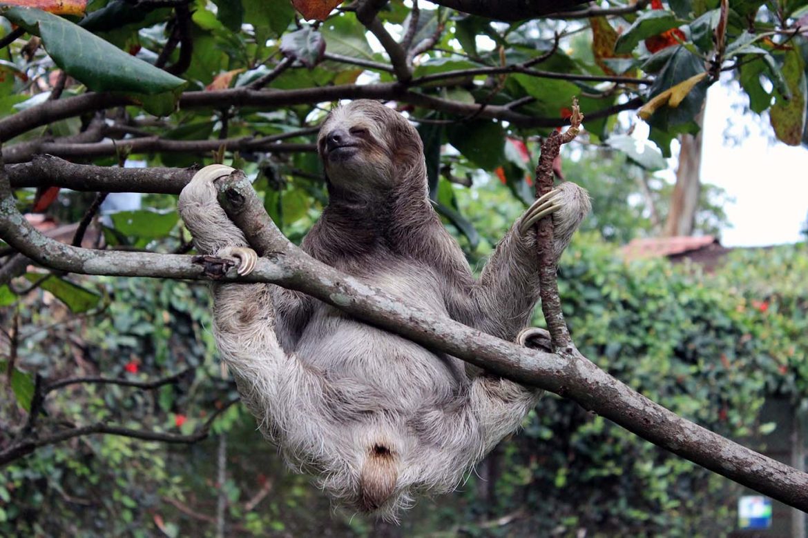 Unser schönster Roadtrip: eine Woche Costa Rica Rundreise