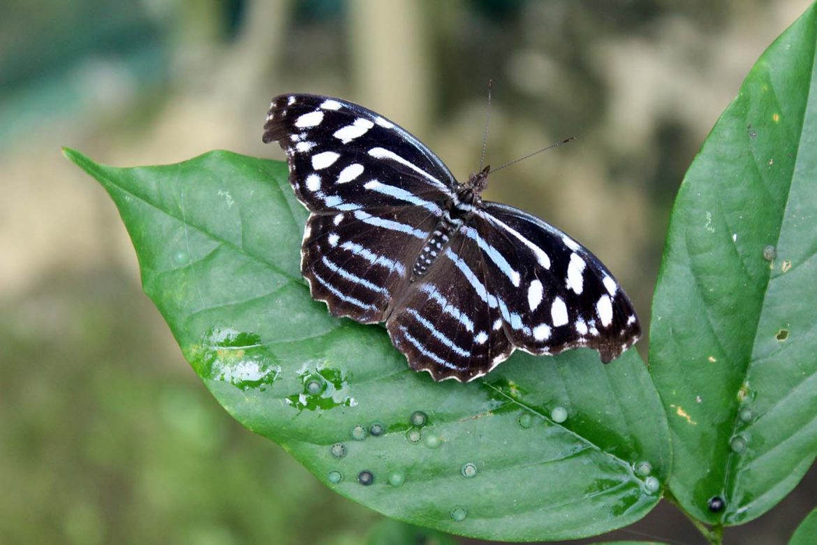 Unsere 5 Lieblings-Fotospots auf Reisen