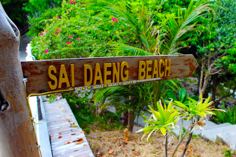 Sai Daeng Beach Koh Tao Thailand www.gindeslebens.com