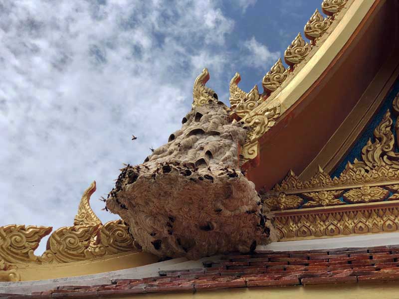 Tempelanlage Wat Chalong Phuket in der Regenzeit - Sehenswertes, Aktivitäten und Tipps www.gindeslebens.com