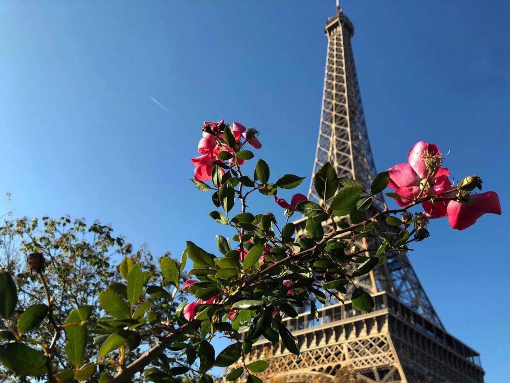 Paris Sehenswürdigkeiten - Highlights, Tipps, Hotel & Restaurants in Paris