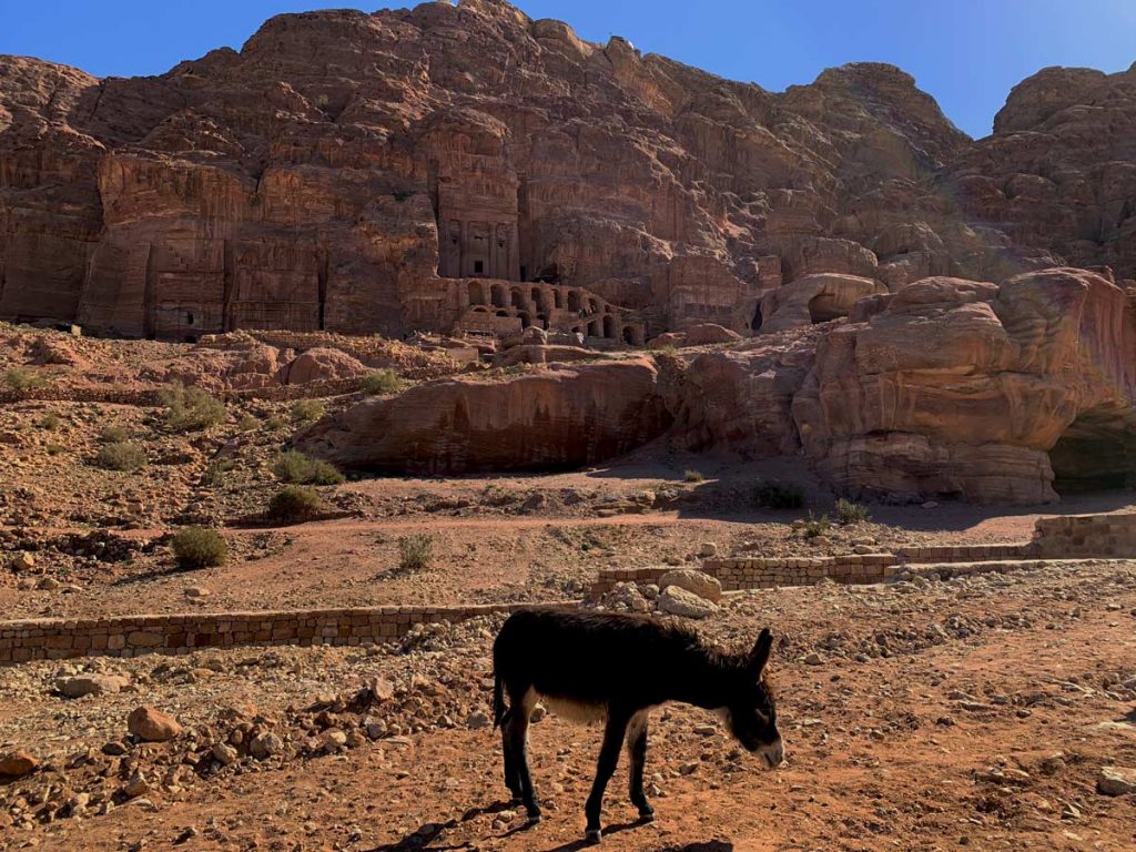 Petra Jordanien - Eintritt, Highlights & Tipps www.gindeslebens.com