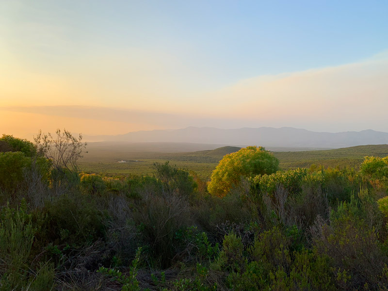 Naturschutzgebiet Grootbos Privat Nature Reserve www.gindeslebens.com