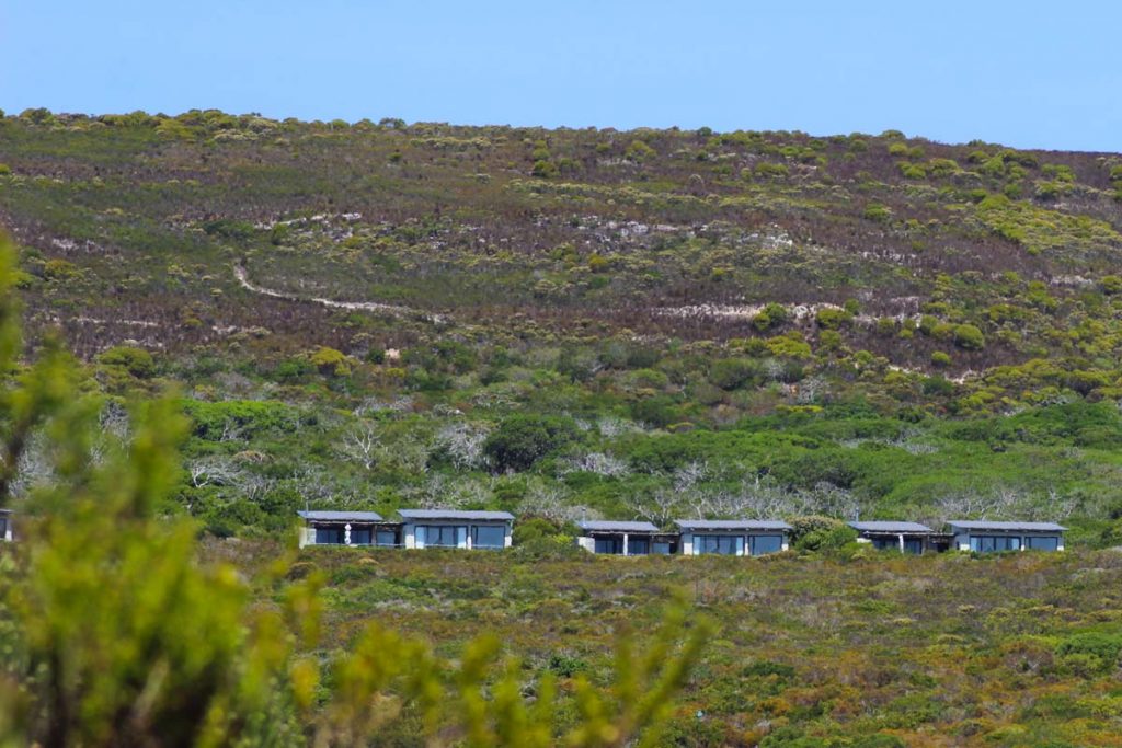 Grootbos Private Nature Reserve - Luxuslodge zwischen Kapstadt & Garden Route