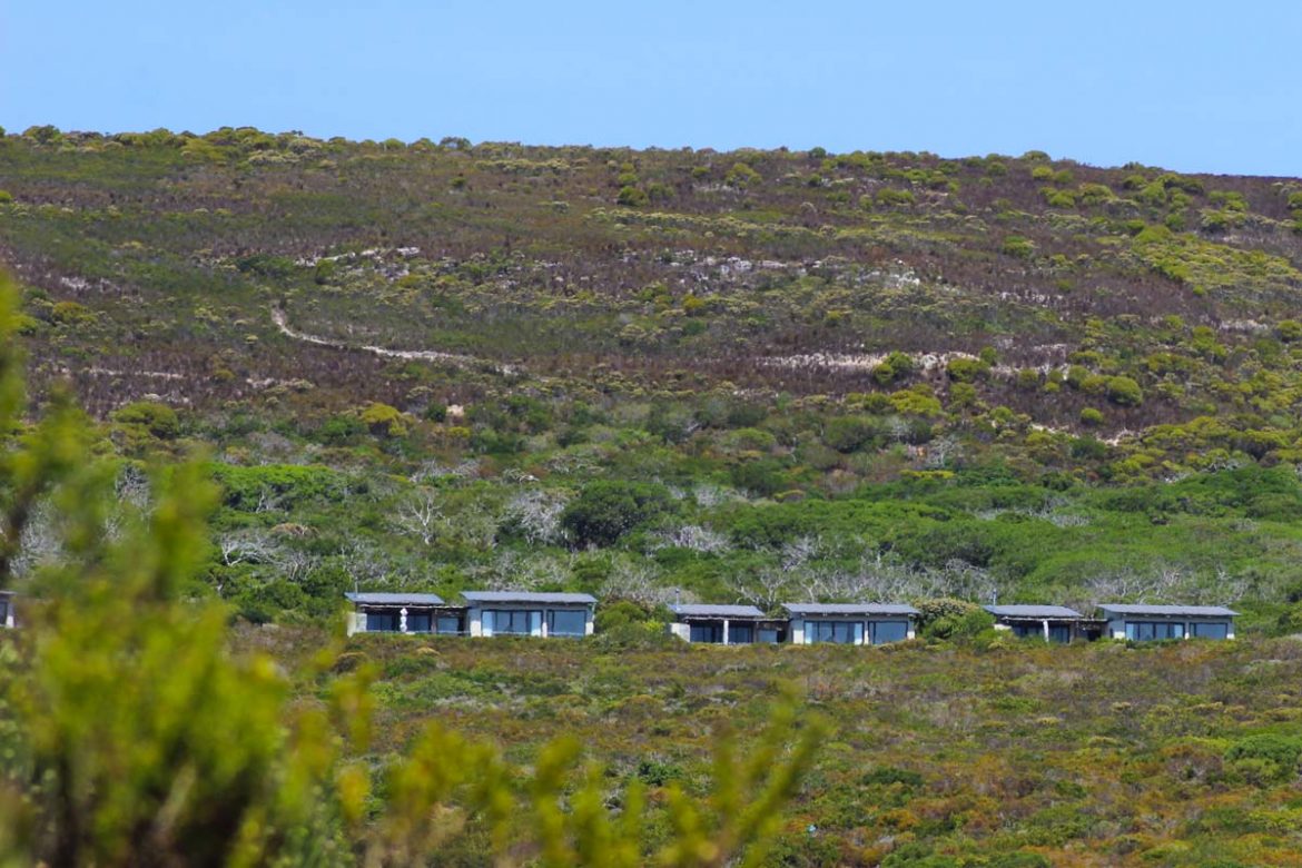 Grootbos Private Nature Reserve – Luxuslodge zwischen Kapstadt & Garden Route