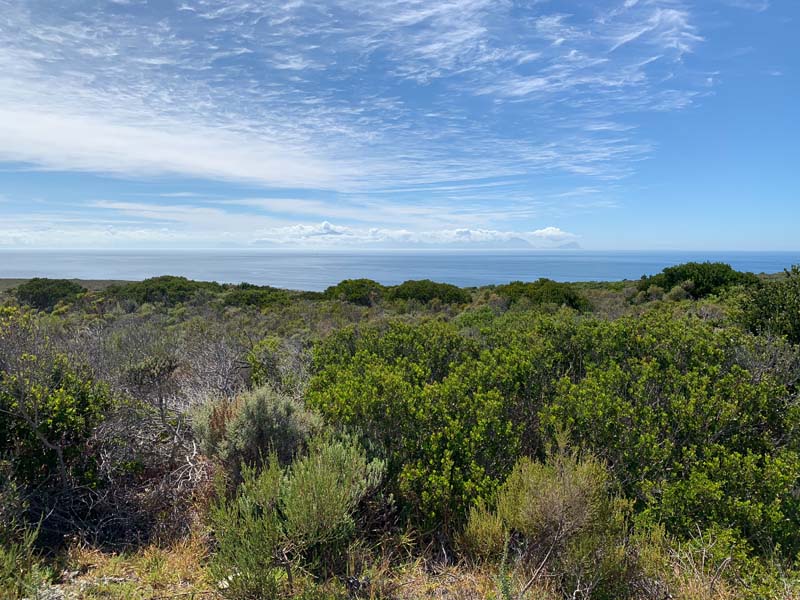 Table Mountain National Park