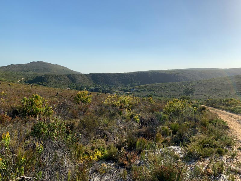 Grootbos Private Nature Reserve