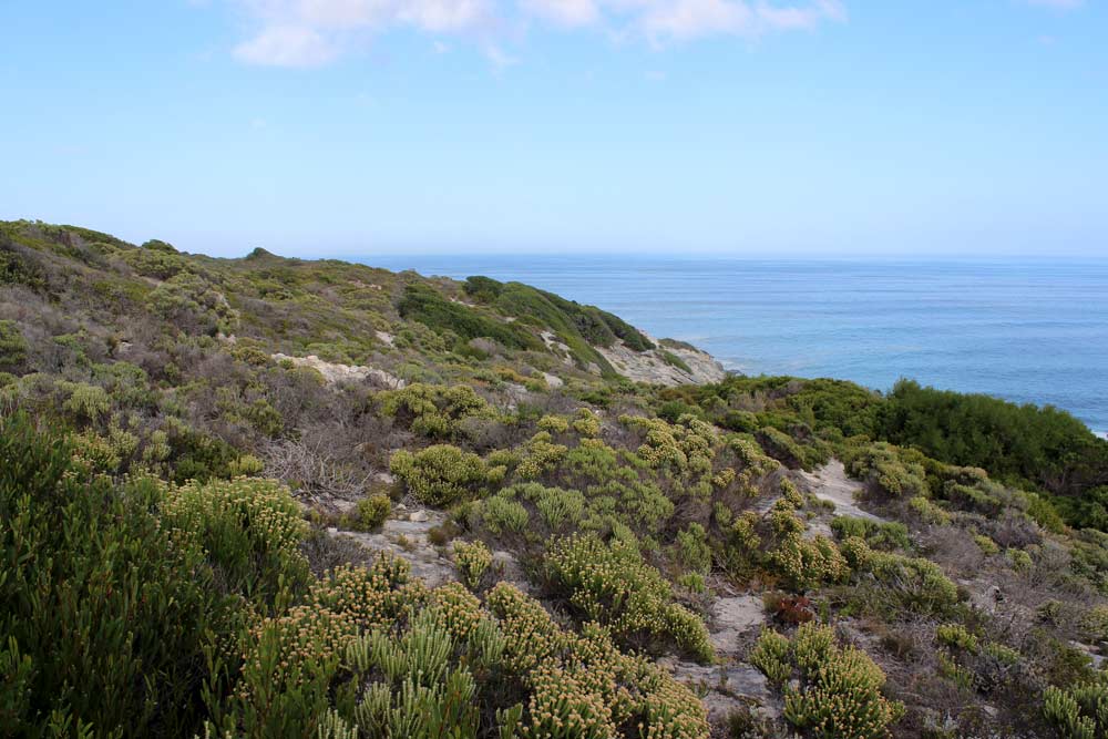 Grootbos Tour Walker Bay