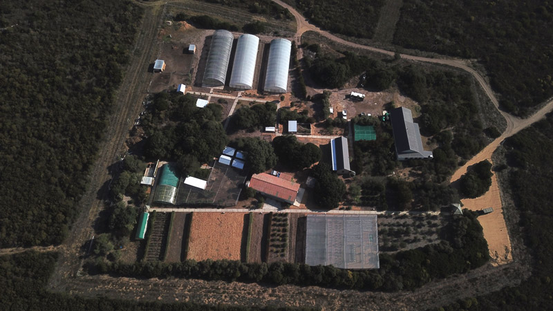 Growing the Futures Farm Grootbos