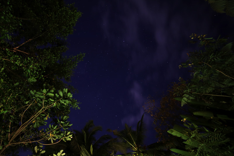 Sandat Glamping Tents Ubud Bali