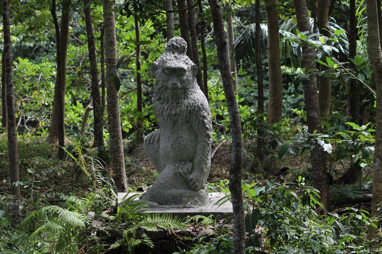 Monkey Forest Ubud Bali indonesien