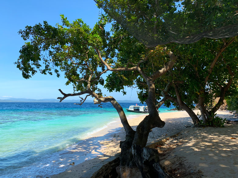 Murex Dive Resort Bangka Sulawesi Indonesien 