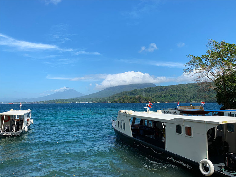 Lembeh Resort Sulawesi Tauchen Lembeh Strait