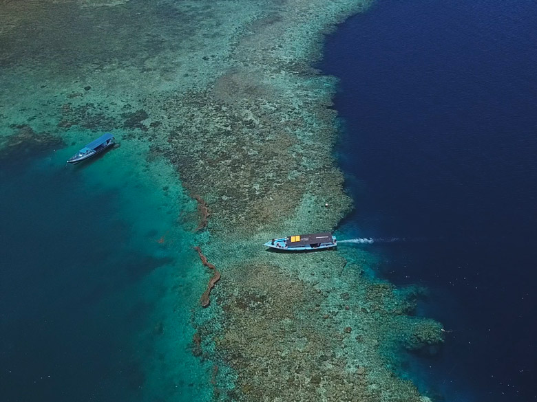 Bastianos Dive Resort Bunaken Tauchen Sulawesi Indonesien