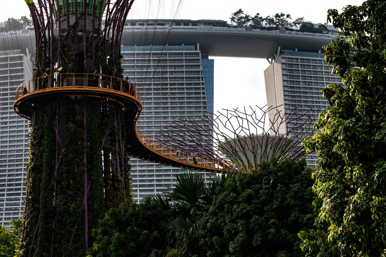 OCBC Skywalk Supertrees Singapur Highlights