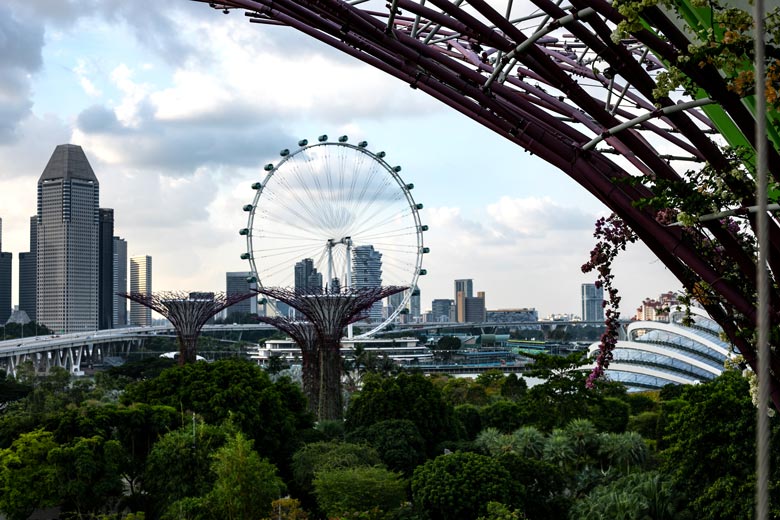 OCBC Skywalk Supertrees Singapur Highlights