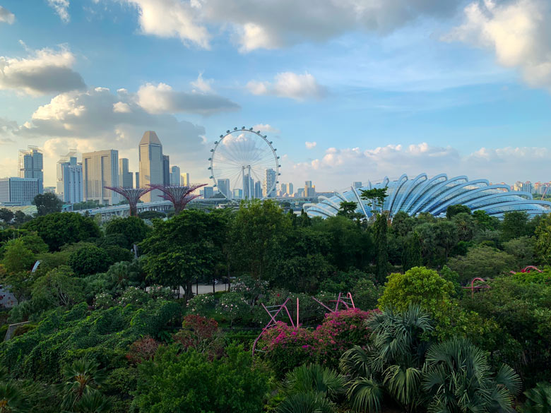 OCBC Skywalk Supertrees Singapur Highlights