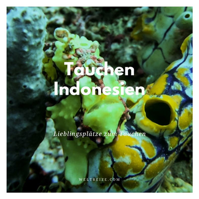 Tauchen Indonesien