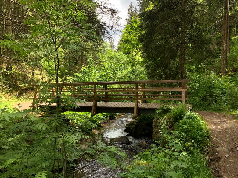 Graggerschlucht Wasserweg Wandern Steiermark