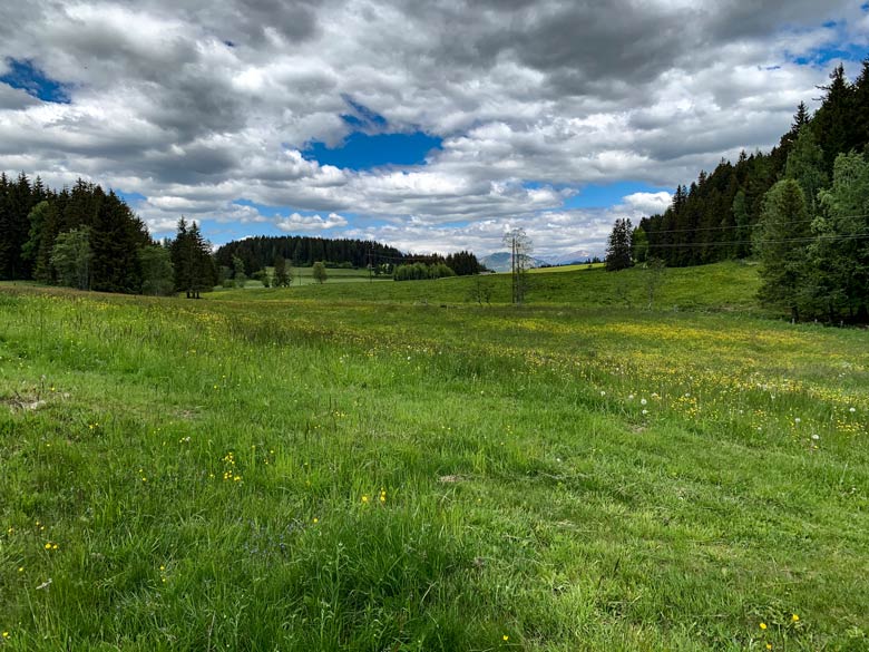 Graggerschlucht Wasserweg Wandern Steiermark