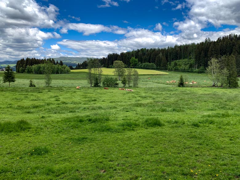 Graggerschlucht Wasserweg Wandern Steiermark