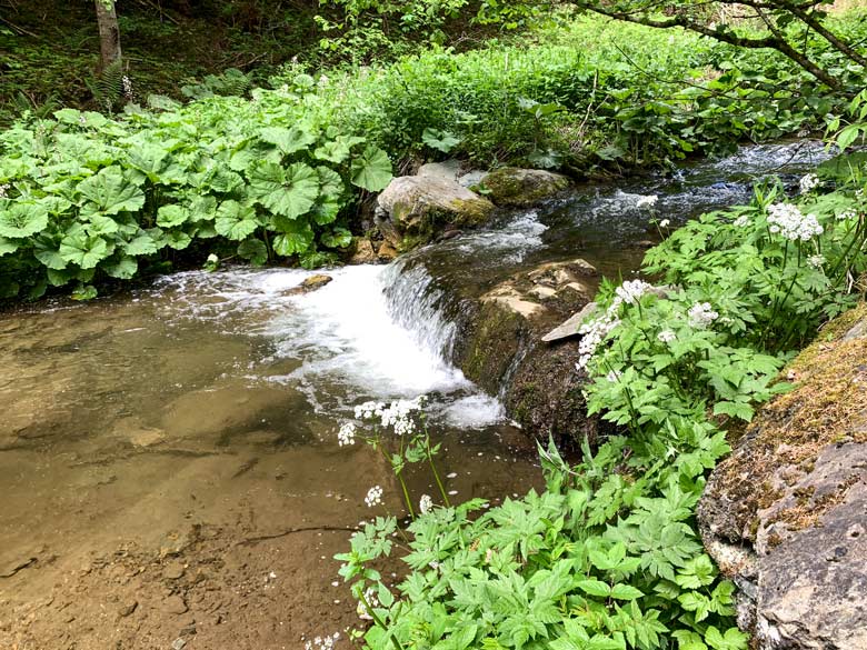 Graggerschlucht Wasserweg Wandern Steiermark